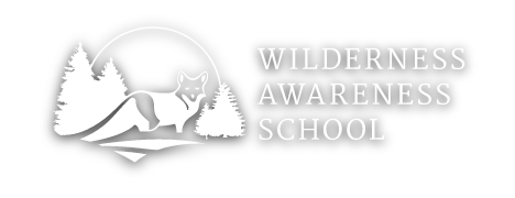 Wilderness Awareness School